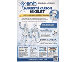 İskelet (Mukavva) 12'li