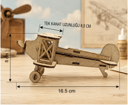 3D Ahşap Uçak Maketi 
