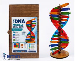 DNA Modeli Yapım Seti Ahşap 