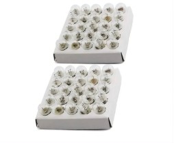 Deney Ampulü 2.5 Volt 50'Lİ