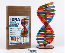 DNA Modeli Yapım Seti Ahşap 