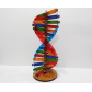 DNA Modeli Yapım Seti Ahşap 