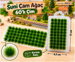 Suni Çam Ağaç - 60'lı Çim 