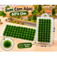 Suni Çam Ağaç - 60'lı Çim 